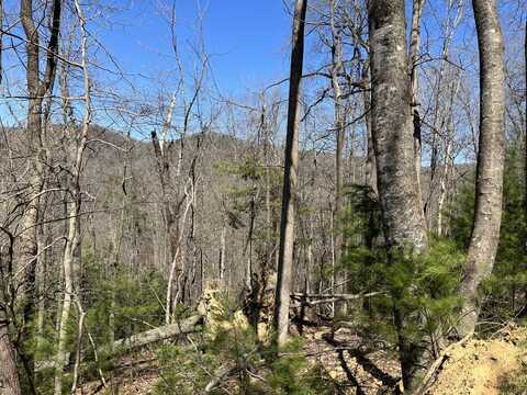 Lot PE 304 Sleepy Creek Trail, Deep Gap, NC 28618