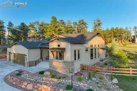 16321 Tree Top Court, Monument, CO 80132