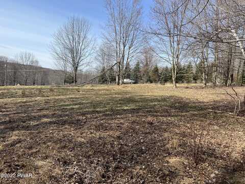 Lot 701 Black Bear Road, Lake Ariel, PA 18436