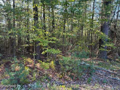 Lot 5 Delaware Crest, Dingmans Ferry, PA 18328