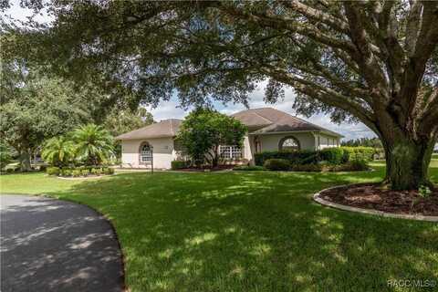 61 E Falconry Court, Hernando, FL 34442