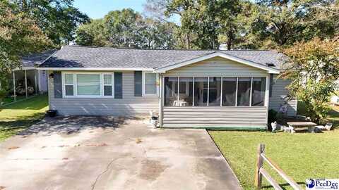 205 Emanuelville Loop, Dillon, SC 29536