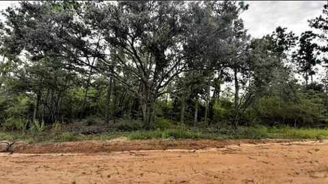 Lot 40 Alene Dr, Alford, FL 32420