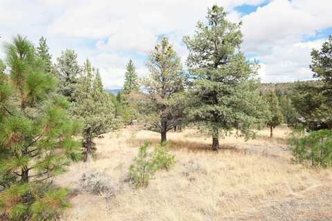 Lot 627 Shastina Place, Weed, CA 96094