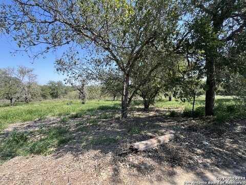 497 COUNTY ROAD 124, Floresville, TX 78114