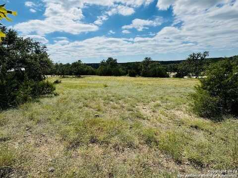 2460 George Pass, Canyon Lake, TX 78133