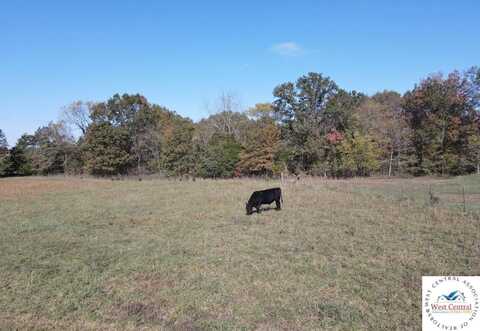 Tbd2 18.7 Acres NE 450, Osceola, MO 64776