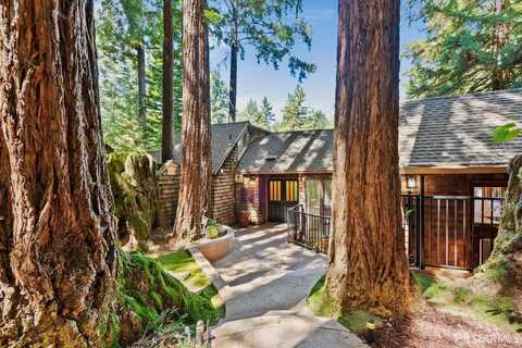 172 Shake Tree Lane, Scotts Valley, CA 95066