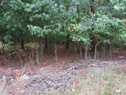 0 Baywood Dr. Lot 1, Piney Flats, TN 37686