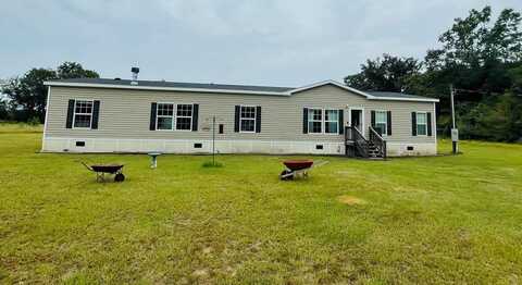 832 Edwin Phillips Road, Reidsville, GA 30453