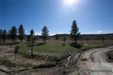 00 Bradley Road, Roundup, MT 59072