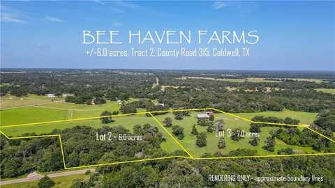 Tbd County Road 315 (6 acres), Caldwell, TX 77836