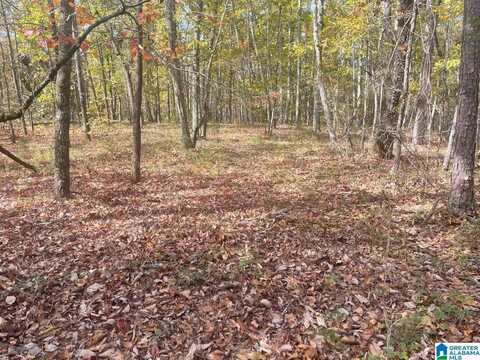 36 acres COUNTY ROAD 30, COLUMBIANA, AL 35051