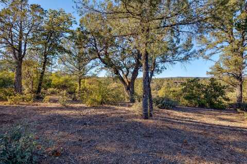 203 S Rim Club Drive, Payson, AZ 85541