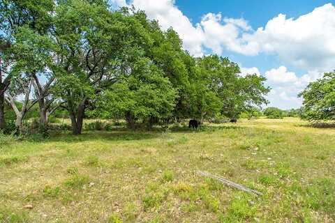 Lot 2 FM 2093, Harper, TX 78631