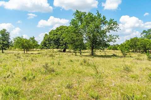 Lot 7 FM 2093, Harper, TX 78631