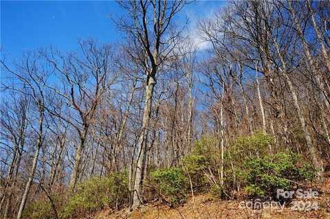 35 Wedgewood Terrace, Black Mountain, NC 28711