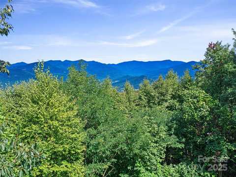 58 Mountain Azalea Drive, Swannanoa, NC 28778