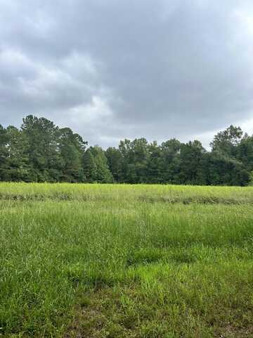 00 Highway 61, Ridgeville, SC 29472