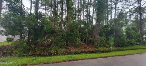 4 Sergeant Court, Palm Coast, FL 32164