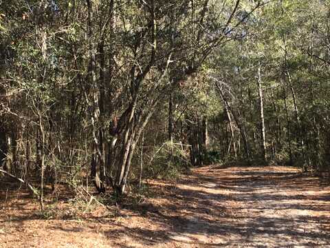 33 Acres Aplin Road, Crestview, FL 32539