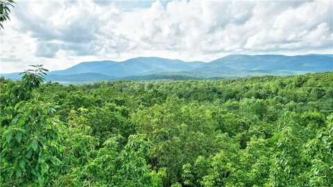 48 Mt Mcgurder - 48.26 acres Road, Ellijay, GA 30536