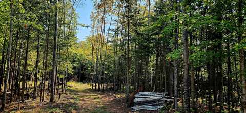 8376 AMBER LAKE RD W, Lac Du Flambeau, WI 54538