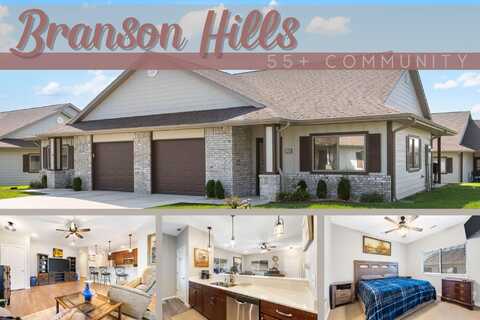 125 Vista View Drive, Branson, MO 65616