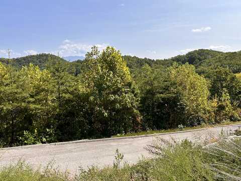 Lot 112 Eagle Cloud Way, Sevierville, TN 37862