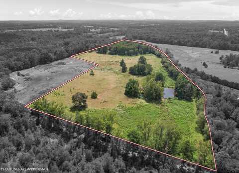 TBD Ocelot Road, Gilmer, TX 75644