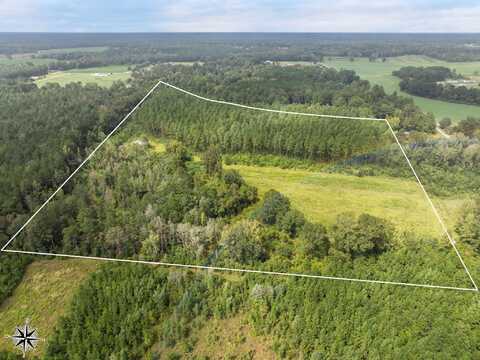 27+/-ACRES Old Rifle Range Rd., Petal, MS 39465