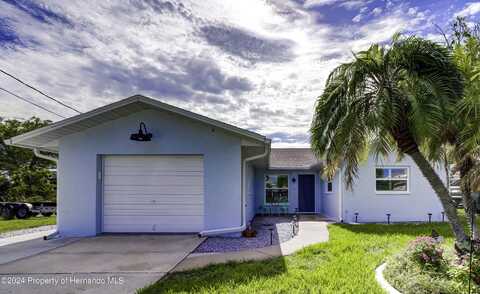 4390 6th Isle Drive, Hernando Beach, FL 34607