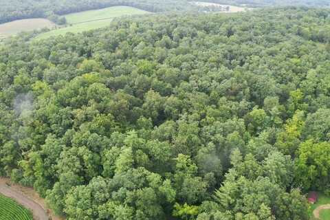 Lot Old Town road, Donation, PA 16652