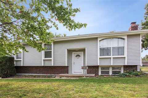 1101 W Elm Street, Olathe, KS 66061