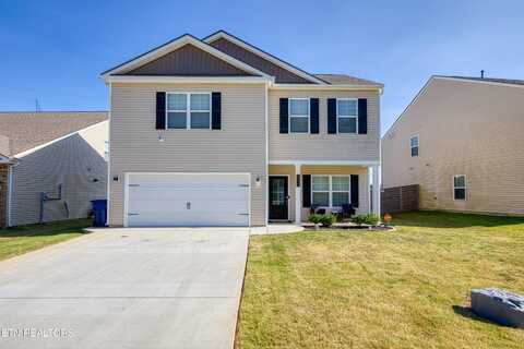 240 Ibis Loop, Oak Ridge, TN 37830