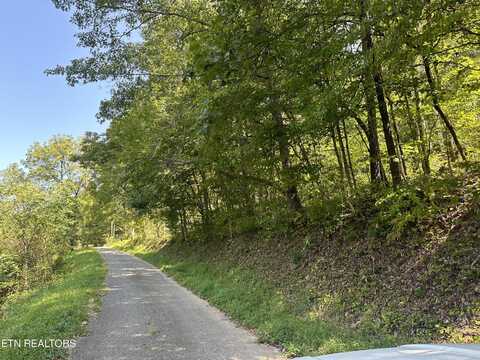 Low Gap Rd, La Follette, TN 37766