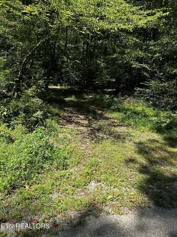 Bailey Rd, Tellico Plains, TN 37385