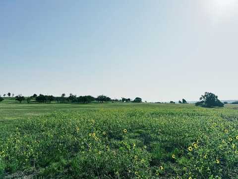 Badger Ridge Rd, Fredericksburg, TX 78624