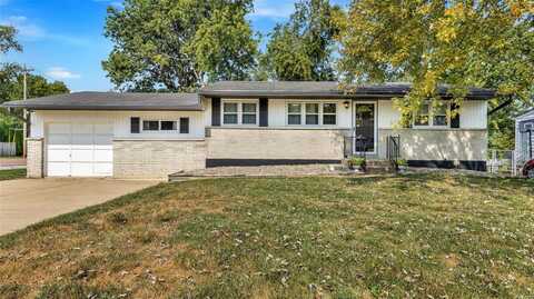 10553 Fabick Drive, Saint Louis, MO 63123