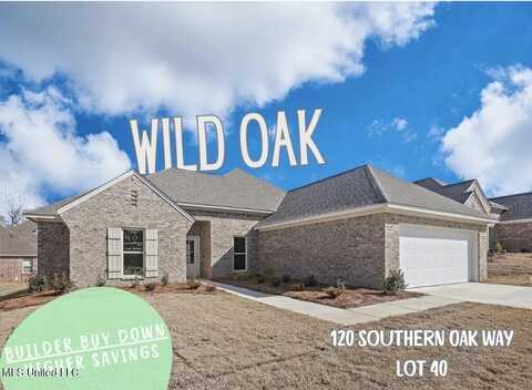 120 Southern Oak Way, Canton, MS 39046