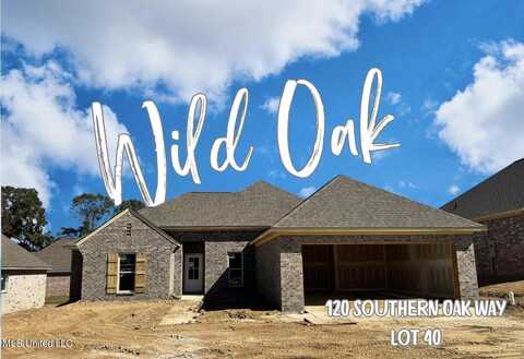 120 Southern Oak Way, Canton, MS 39046