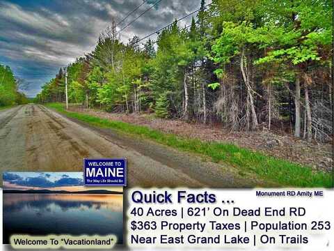 Lot 20 Monument Road, Amity, ME 04471