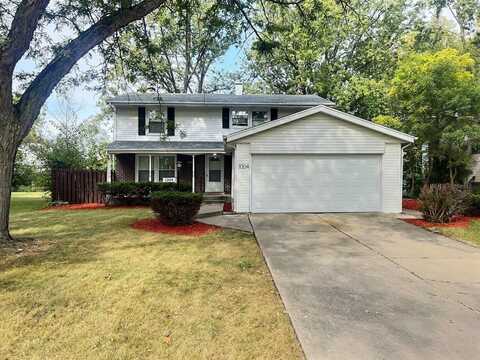 1004 Blackhawk Drive, University Park, IL 60484