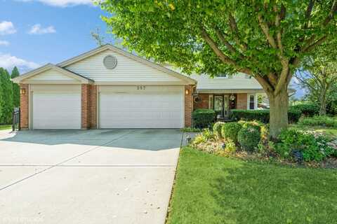 357 E Shady Pines Court, Palatine, IL 60067