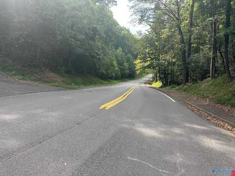 Lot 18 Lusk Street, Guntersville, AL 35976