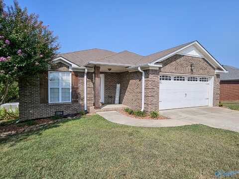 17641 Dement Road, Athens, AL 35611