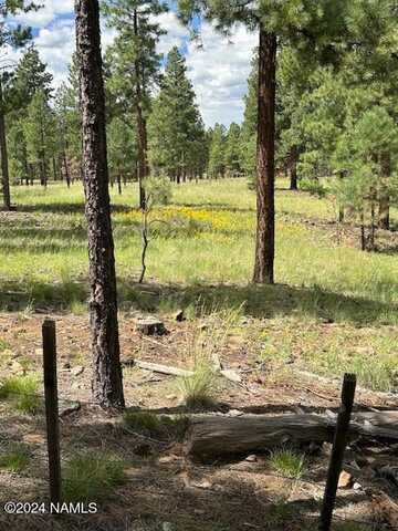 3101 W Sacred Mountain Road, Flagstaff, AZ 86001