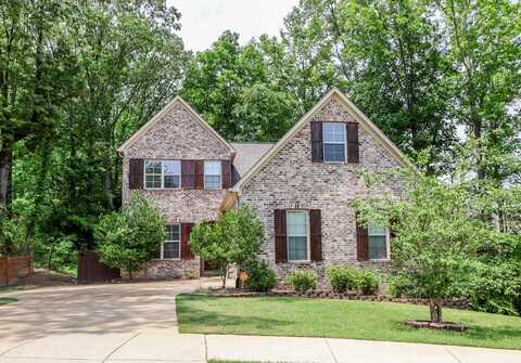 407 Elizabeth Court, Oxford, MS 38655