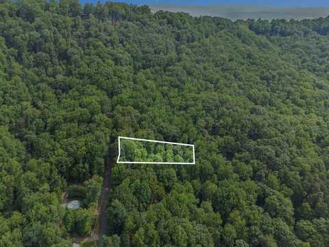 M100 Skyview Drive, Ellijay, GA 30536