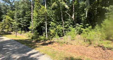 Lot 117 Jumper Drive, Ellijay, GA 30540